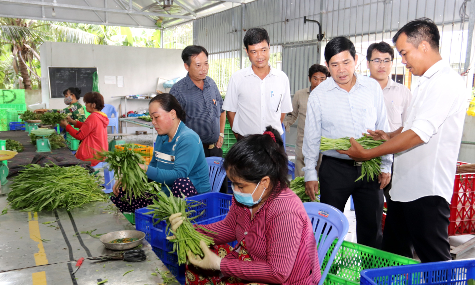 Cần Đước: Khảo sát hoạt động Hợp tác xã sản xuất rau an toàn Mười Hai
