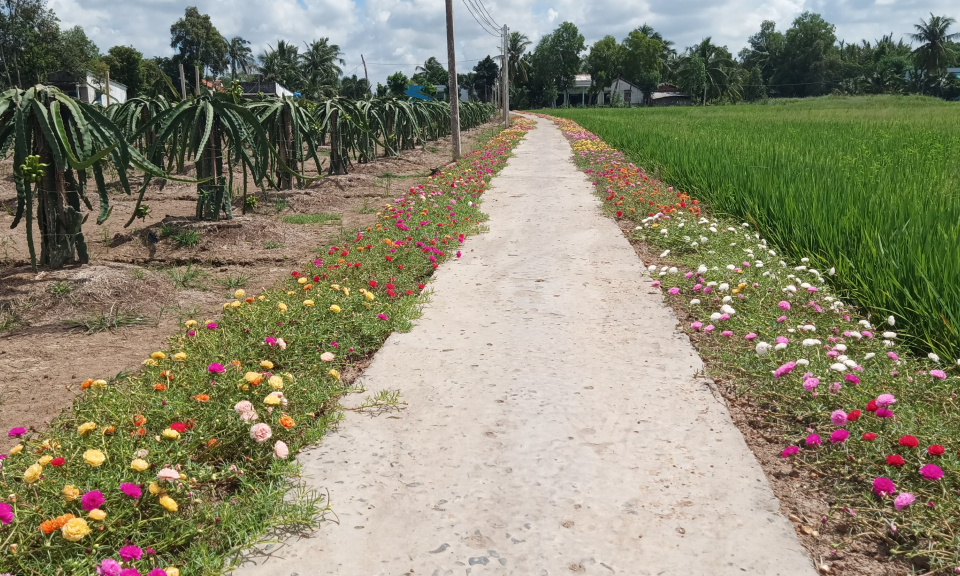 Nét đẹp từ những đường hoa nông thôn