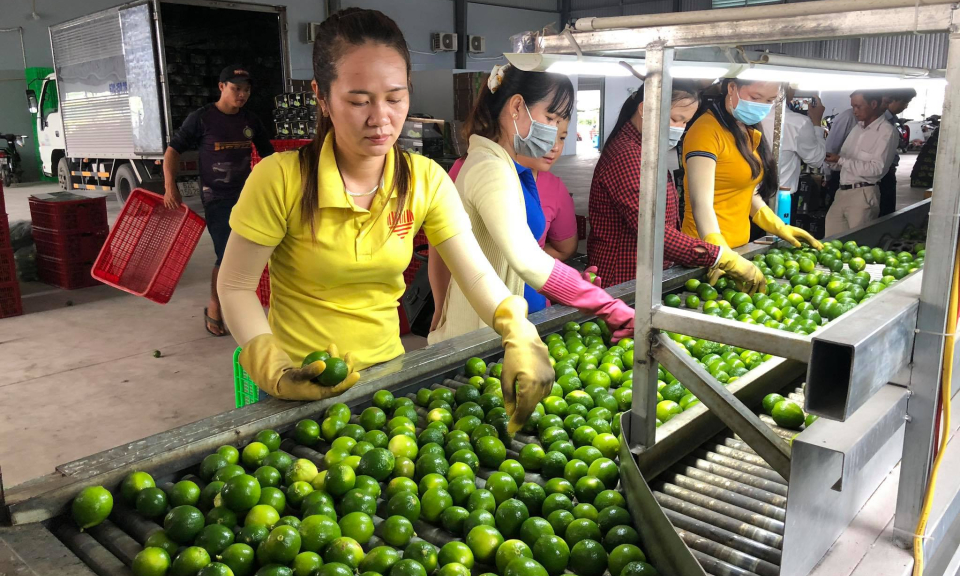 Nghiệm thu đề án hỗ trợ ứng dụng máy móc thiết bị tiên tiến trong sản xuất nông sản