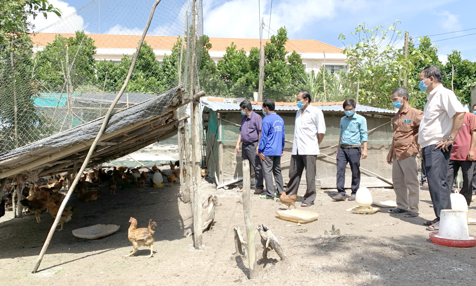 Tân Hưng: Tổng kết mô hình trình diễn chăn nuôi gà theo hướng an toàn sinh học