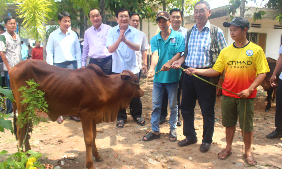 Nguyên Chủ tịch nước -Trương Tấn Sang trao bò cho hộ nghèo tại Đức Huệ