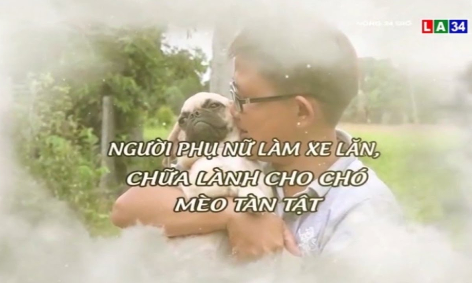 Người phụ nữ làm xe lăn, chữa lành cho chó mèo tàn tật