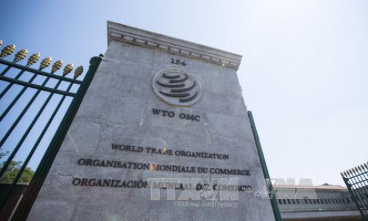 WTO khởi động tiến trình bầu chọn lãnh đạo mới