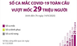 Số ca mắc COVID-19 toàn cầu vượt mốc 29 triệu người