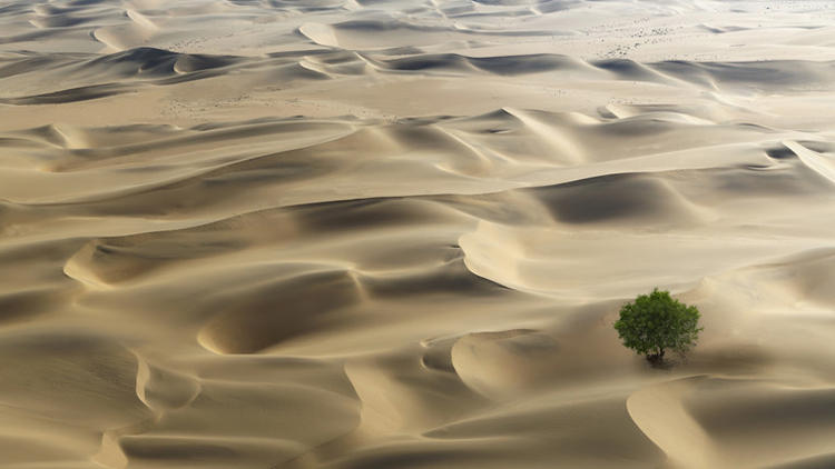 Vẻ kỳ ảo của những sa mạc đẹp nhất thế giới  VIETRAVEL  Vietravel