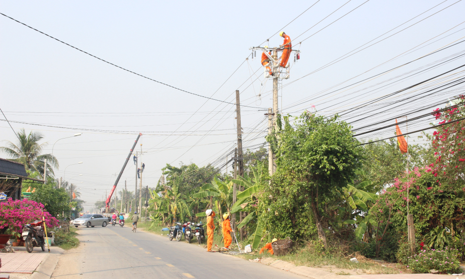 Cần Đước: Phát triển lưới điện phục vụ nuôi tôm và trồng rau ứng dụng công nghệ cao