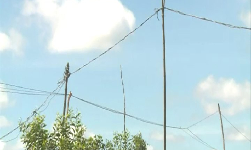 Giai đoạn 2015 – 2020, Long An xóa hơn 27.000 điện kế tổ