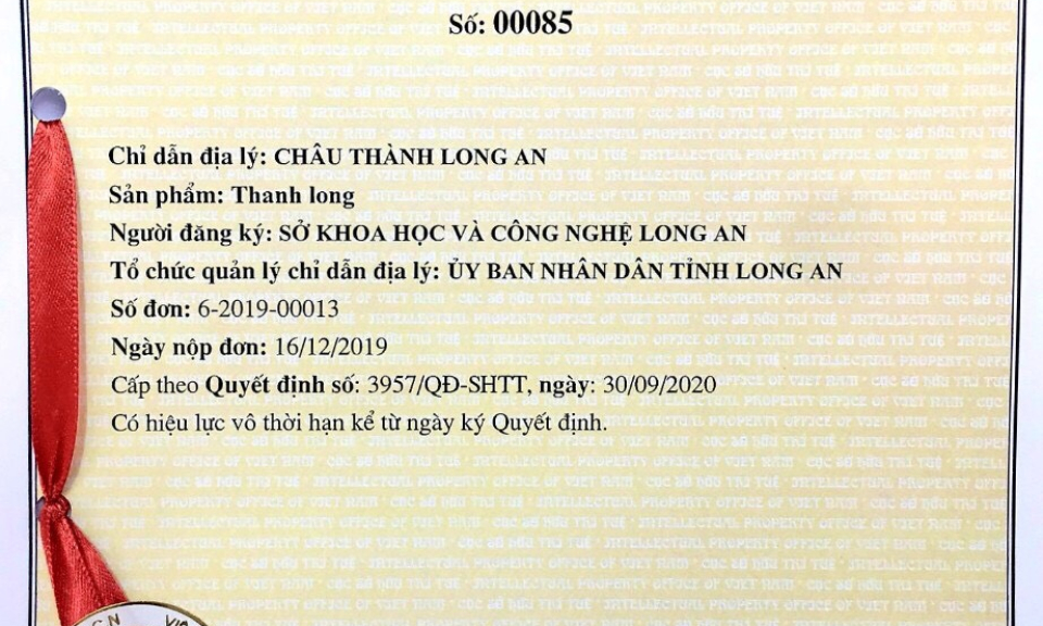 Bảo hộ Chỉ dẫn địa lý cho sản phẩm thanh long Long An
