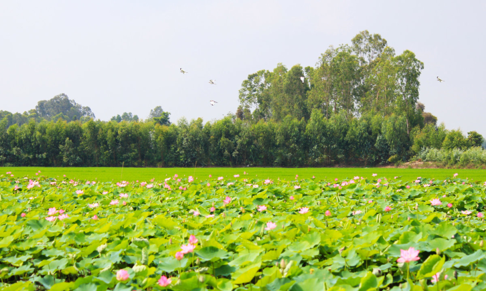 Tăng cường bảo vệ Khu bảo tồn Dược liệu trong mùa lũ.