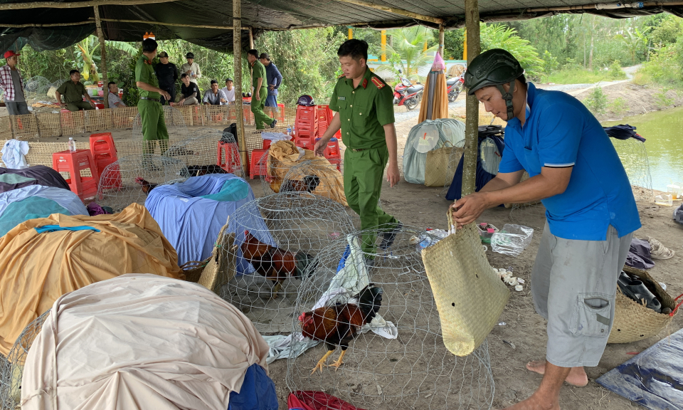 Công an Tân Hưng triệt phá 01 tụ điểm đá gà ăn tiền quy mô lớn