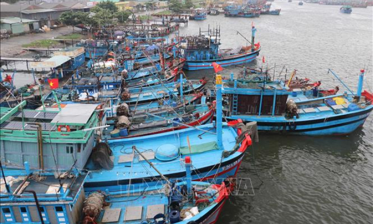 Các tỉnh, thành phố từ Quảng Ngãi đến Cà Mau chủ động ứng phó với vùng áp thấp