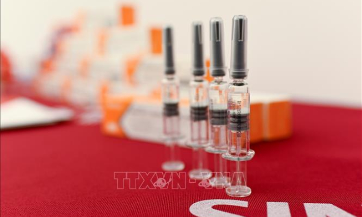 Đâu là những nước đầu tiên nhận được vaccine phòng COVID-19 của WHO?