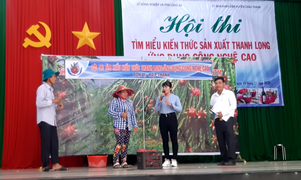 Châu Thành: Hội thi sản xuất thanh long ứng dụng công nghệ cao