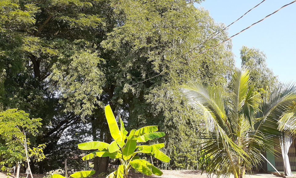 Tân Hưng: Người dân cần đảm bảo an toàn điện sau điện kế
