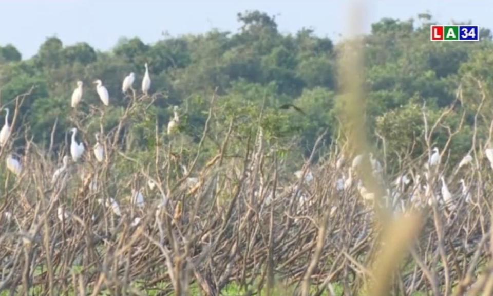 Quản lý, bảo vệ khu Ramsar Láng Sen