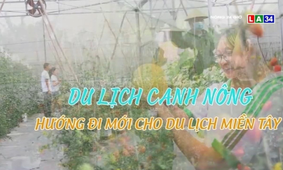 Du lịch canh nông &#8211; Hướng đi mới cho du lịch miền Tây