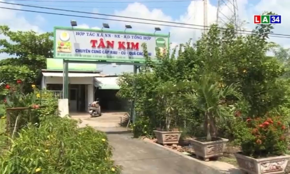 HTX Tân Kim khẳng định vị thế nhờ chất lượng