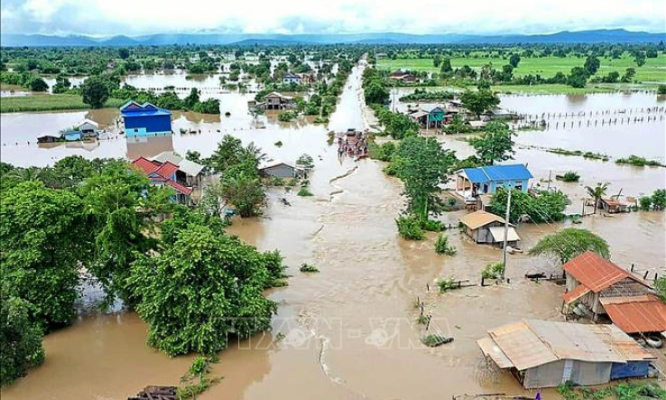 Campuchia cấp hơn 5.000 tấn thóc giống cho nông dân các tỉnh bị lũ lụt