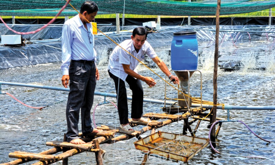 Cà Mau phát huy lợi thế phát triển kinh tế tập thể và hợp tác xã