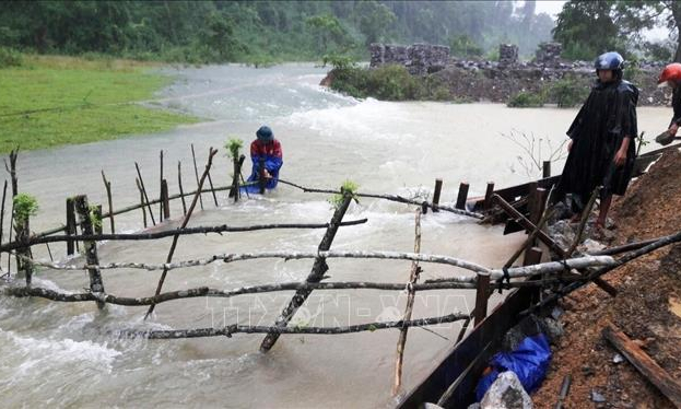 Phục hồi sản xuất, đảm bảo lương thực cho người dân miền Trung sau mưa lũ