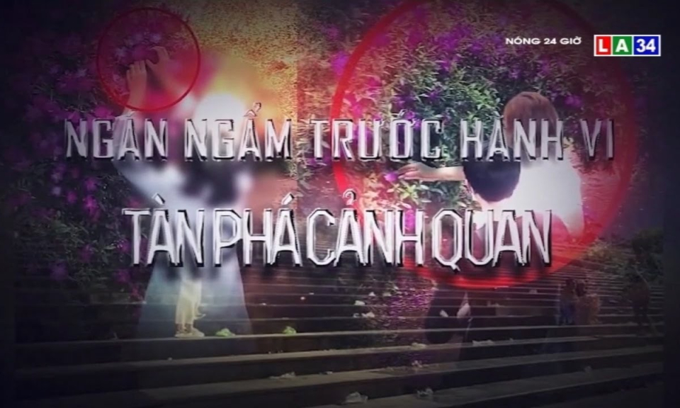 Ngán ngẩm trước hành vi tàn phá cảnh quan