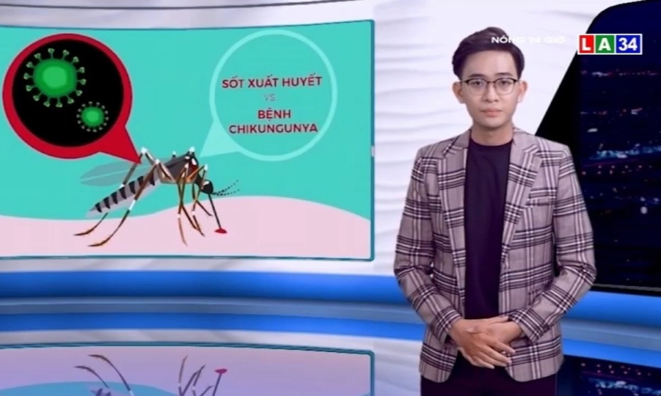 An Giang: Phát hiện 2 trẻ em dương tính với bệnh Chikungunya