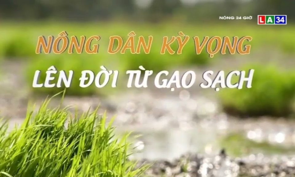 Nông dân kỳ vọng lên đời từ gạo sạch