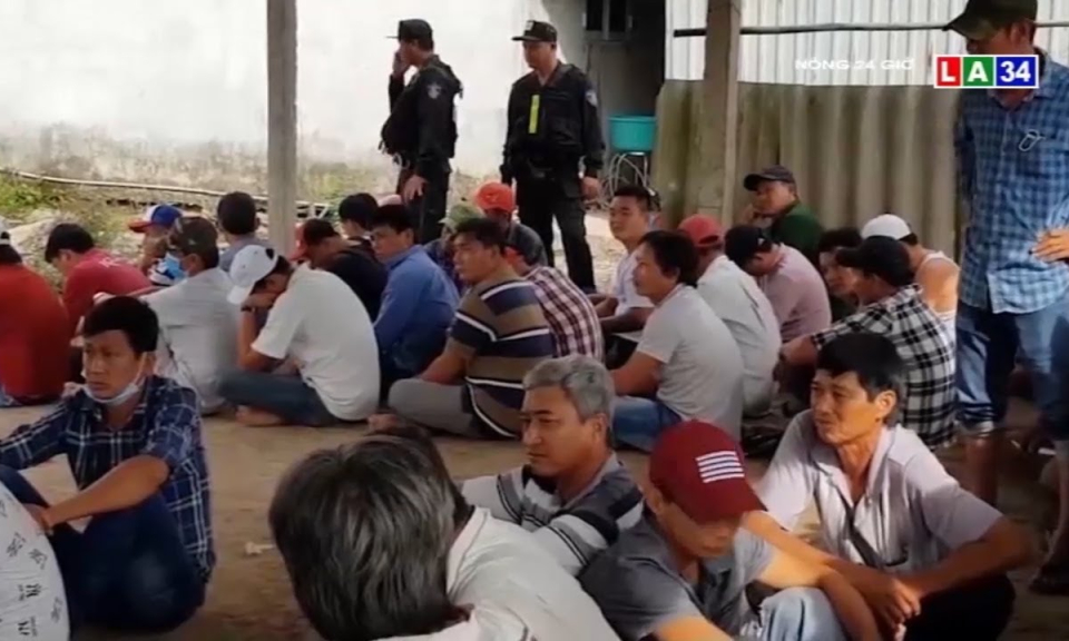 Tiền Giang: Triệt phá tụ điểm đánh bạc dưới hình thức đá gà ăn thua bằng tiền