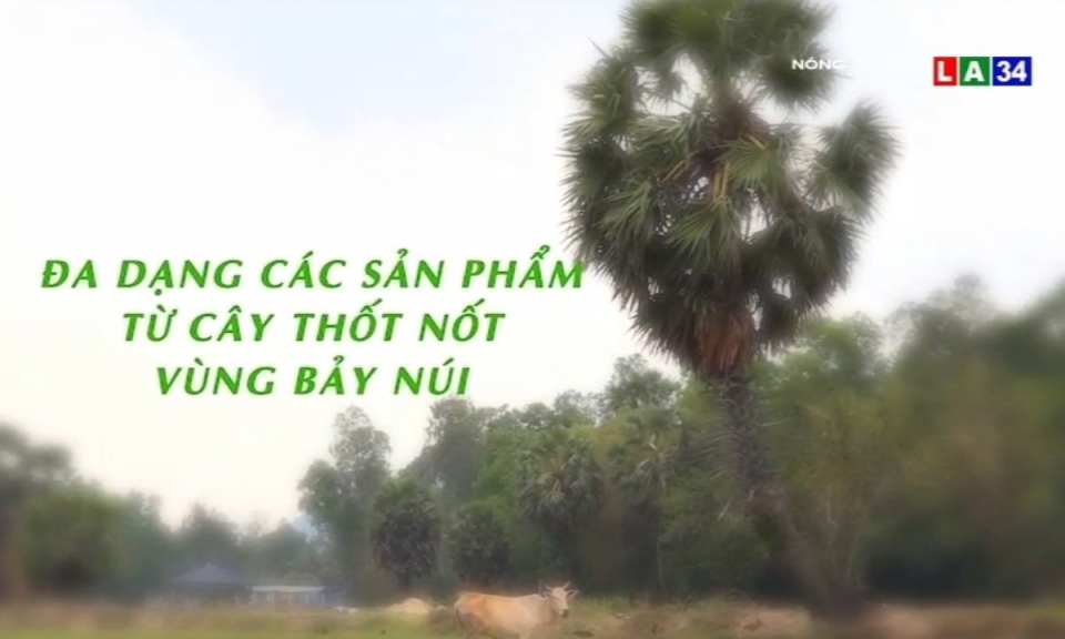 Đa dạng các sản phẩm từ cây thốt nốt vùng Bảy Núi