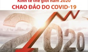 Kinh tế thế giới năm 2020 chao đảo do COVID-19