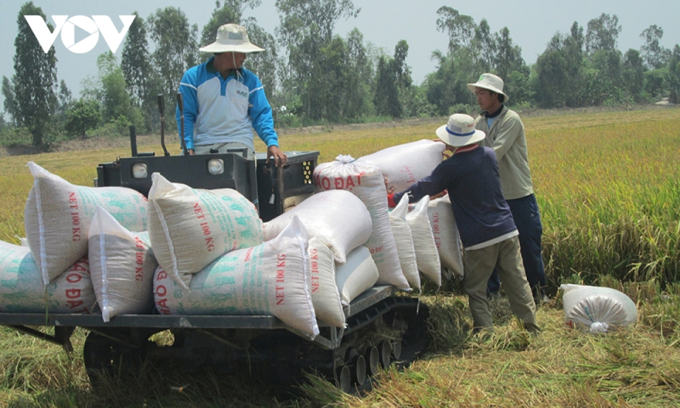 Ngành nông nghiệp vẫn ghi kỷ lục mới dù thiên tai, dịch bệnh