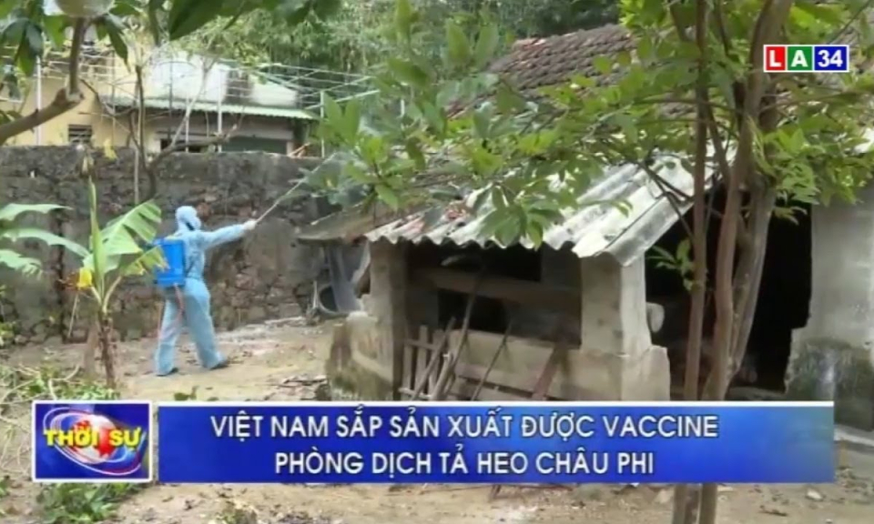 Việt Nam sắp sản xuất được vaccine phòng dịch tả heo Châu Phi