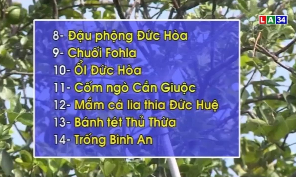 Long An quảng bá 14 sản phẩm tiêu biểu của tỉnh