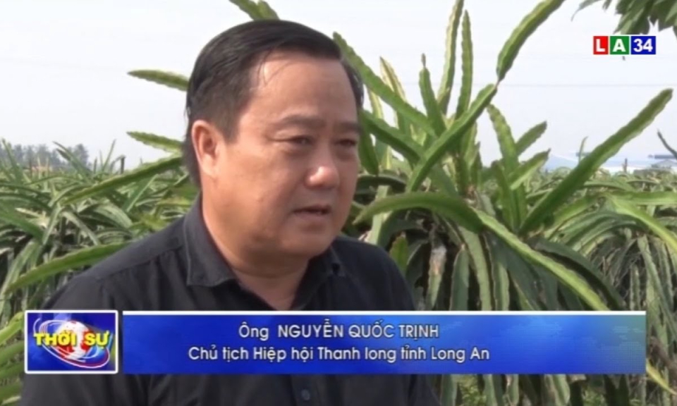 Tin tưởng vào thành công của Đại hội Đảng lần thứ XIII