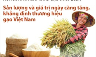 Hơn 30 năm xuất khẩu gạo (1989-2021): Khẳng định thương hiệu gạo Việt Nam