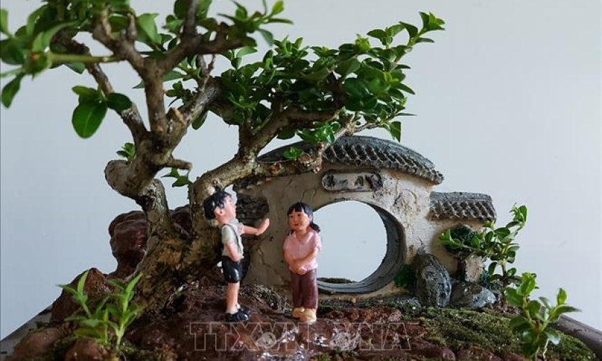 Kỷ lục gia thế giới về bonsai mini thổi hồn vào thiên nhiên