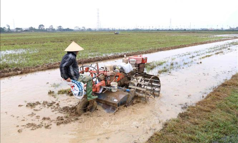 Kéo dài thời gian hỗ trợ phí bảo hiểm nông nghiệp đến hết năm 2021