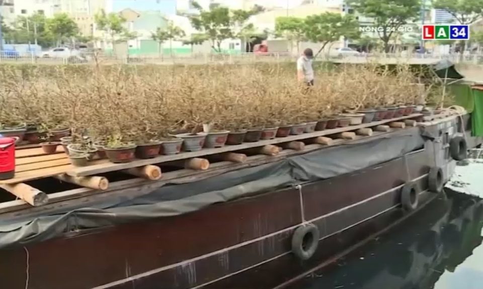 Những chiếc thuyền hoa cập Bến Bình Đông chở Tết đến Sài Gòn