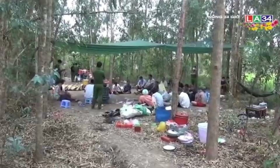 Công an Kiên Giang đột kích trường gà, hàng chục con bạc &#8220;xé nát đồng lúa&#8221; tháo chạy