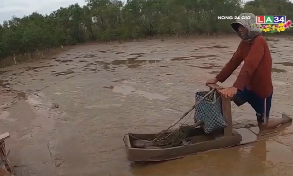 Độc đáo nghề &#8220;trượt mong&#8221; bắt cá bóng sao đặc sản ở Sóc Trăng