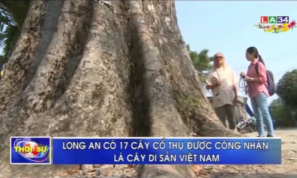 Long An có 17 cây cổ thụ được công nhận là cây di sản Việt Nam