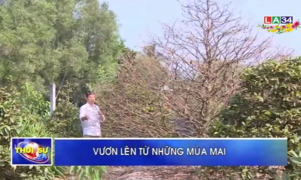 Vươn lên từ những mùa mai