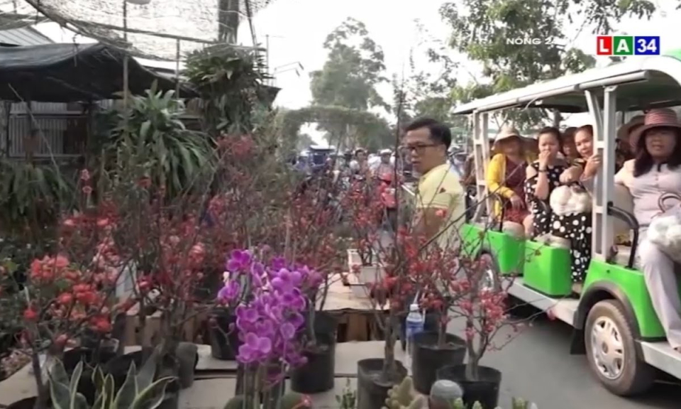 Nhiều nhà vườn tại làng hoa Sa Đéc bị thương lái hủy kèo phút cuối