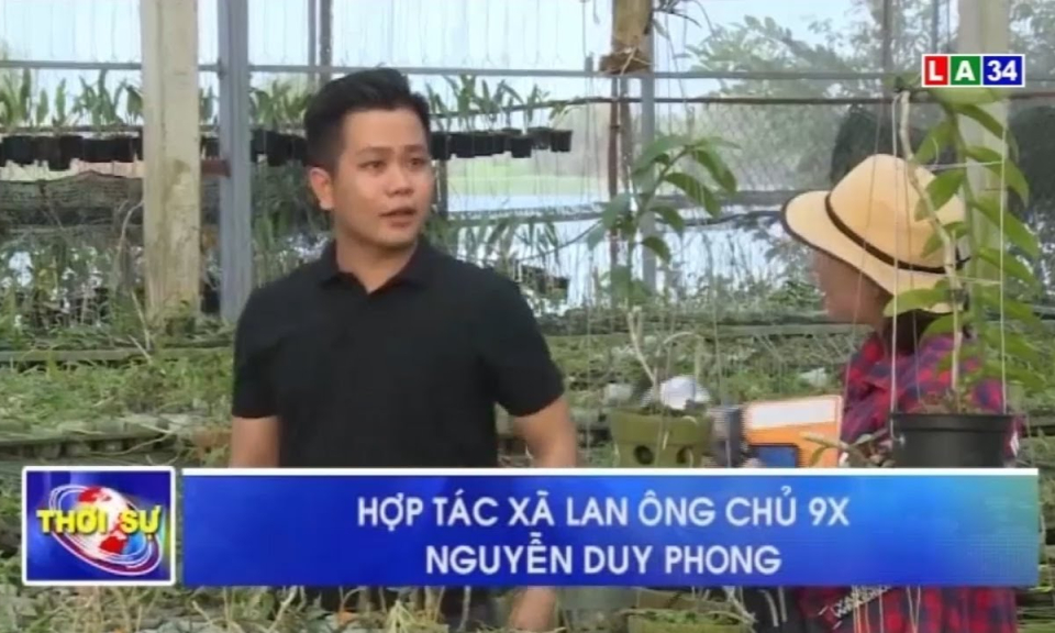 Hợp tác xã lan ông chủ 9X Nguyễn Duy Phong