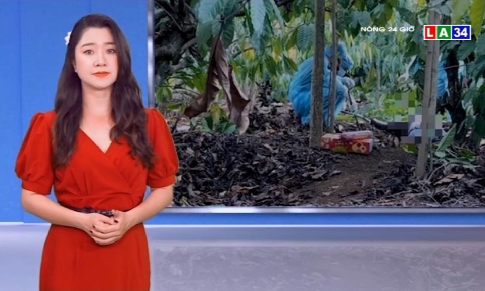 Đắk Nông: Truy tìm người con trai người phụ nữ bị sát hại trong rẫy