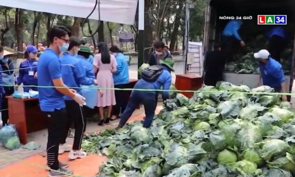 &#8220;Giải cứu&#8221; nông sản bị ứ đọng tại TP.Hải Phòng