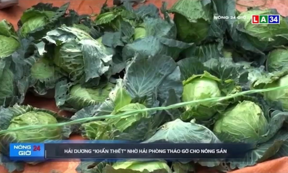 Hải Dương &#8220;khẩn thiết&#8221; nhờ Hải Phòng tháo gỡ cho nông sản