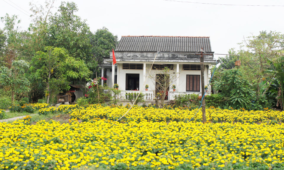 Nhân dân Cần Đước phấn khởi trong những ngày đầu năm mới