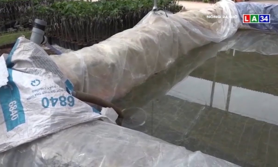 Người dân xứ dừa &#8220;khát&#8221; nước ngọt vào mùa khô