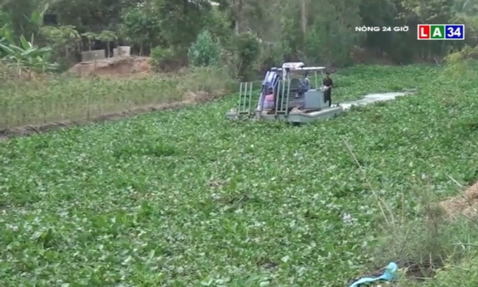 Tân Hưng: Dân &#8220;kêu trời&#8221; vì&#8230;lục bình